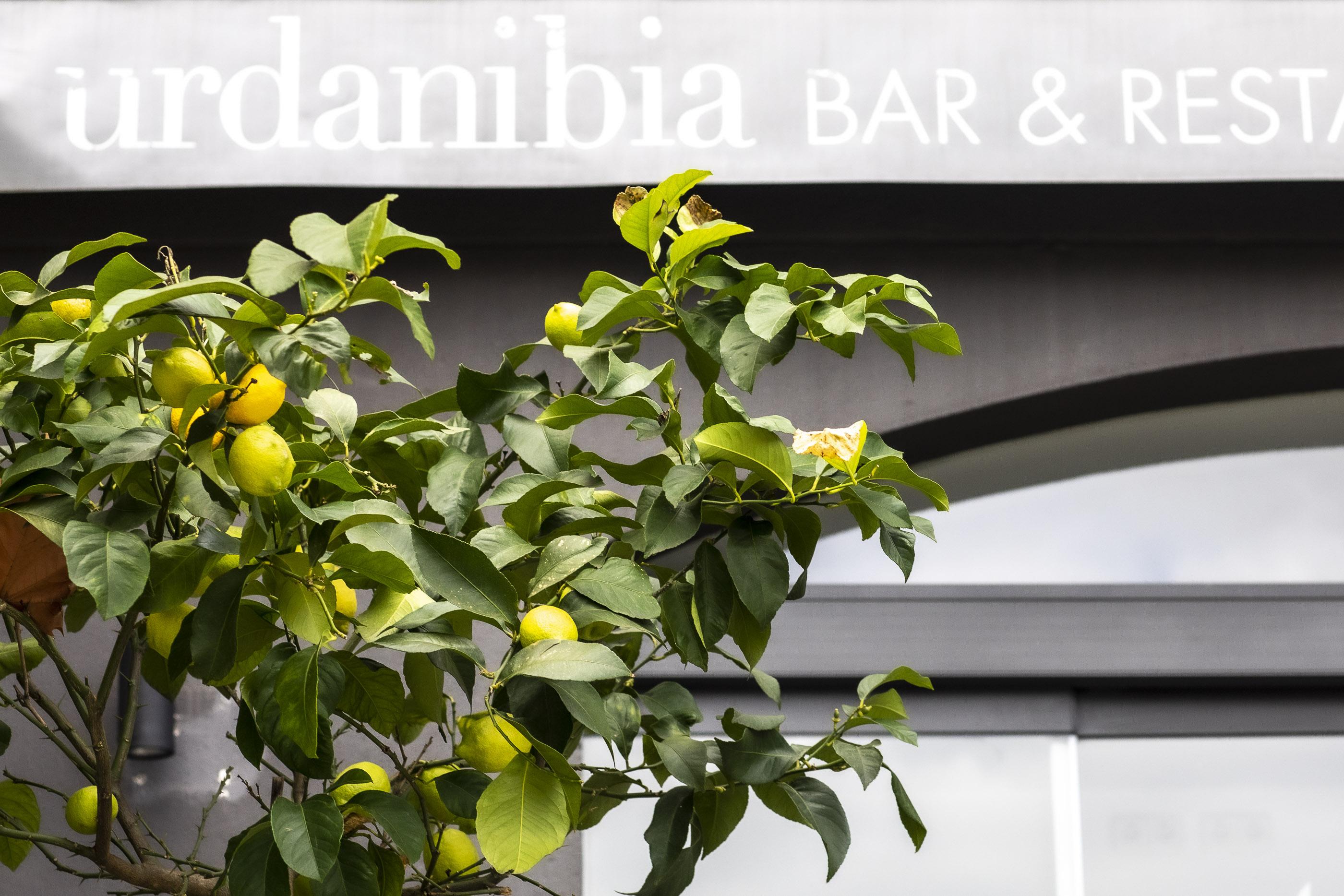 Hotel Urdanibia Park Ιρούν Εξωτερικό φωτογραφία